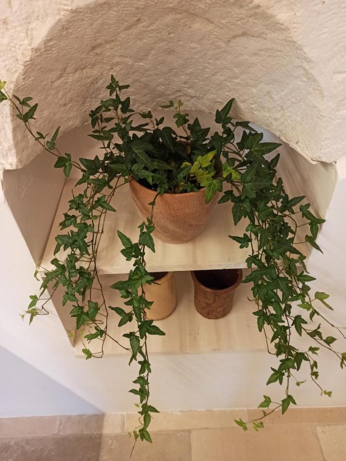 Casetta Elilu Ostuni Exteriör bild